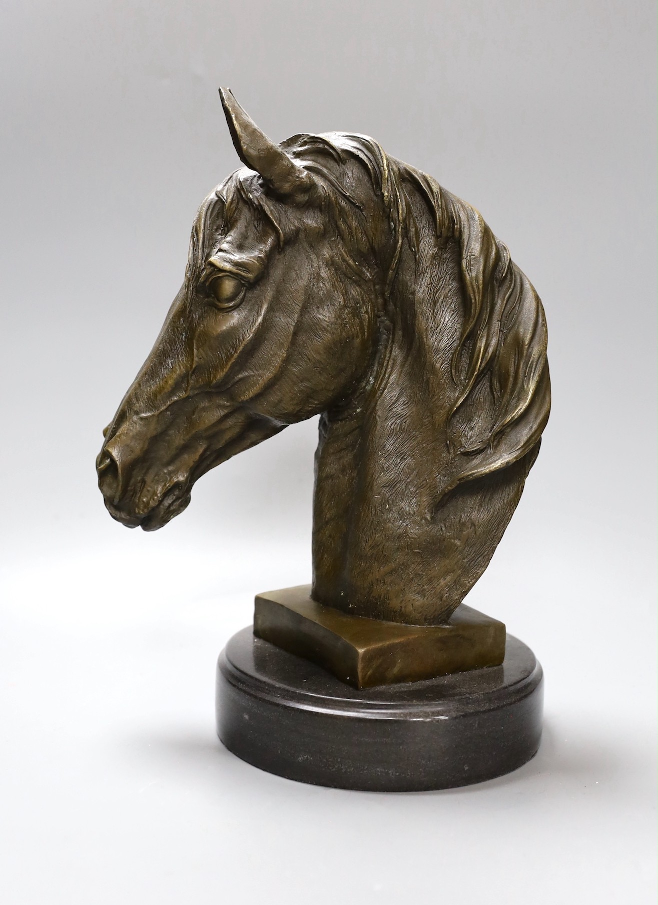 After Barye, a bronze of a horse's head on plinth base, 32cm tall